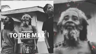 Mandingo - To The Max [ Grenada Reggae 2021 ] 🇬🇩