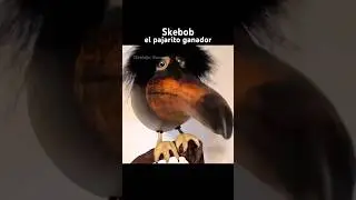 SKEBOB EL PAJARITO GANADOR