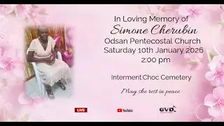 In loving Memory of Simone Cherubin