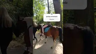 kochani Boże dobiję cię 61 subskrypcji nie zmuszam po prostu😭