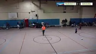 PALMEIRAS VS BARCELONA|| PARTIDAZO DE TEMPORADA REGULAR
