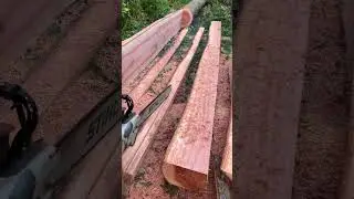 #operator #splittingwood #stihlchainsaw #chainsawskills #sawyer #lumberjack #chainsawmill