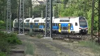 Káosz egy 2025 nyári napon