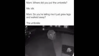 This umbrella #funny #meme