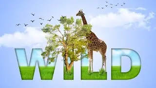 Typography Design Tutorial | Wild and Nature Theme Text Effect In Canva Tutorial