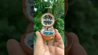 Mini world inside a tiny walnut #art #miniworld #penguins #diorama #youtubeshorts