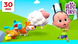 The Ants Go Marching Song 🐜 | Kids Songs and Nursery Rhymes | Hello Tiny