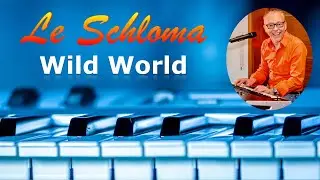 Wild World - Cat Stevens - Mr. Big - KORG Pa4X - Song Cover by Le Schloma