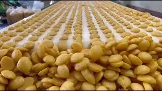Automatic Batasa Making Machine | Available on IndiaMART 8918766113/7872526552