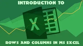Introduction to rows and columns in MS Excel #excel #tutorial #3