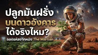 ปลูกมันฝรั่งบนดาวอังคารได้จริงไหม ถอดรหัส THE MARTIAN