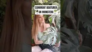 r&eacute;ussir &agrave; bouturer les monstera #tutorial #plants #plante #jardin #decoration #nature #terrarium