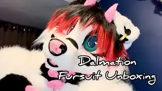 Dalmation Fursuit Unboxing | ZeoHyena 