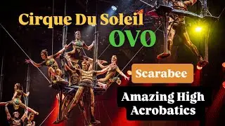@CirqueduSoleil  OVO SCARABEE ACT #fypシ゚viral #cirquedusoleil 