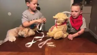 Magic Box: Hasbro's Joy For All Companion Pet Dog