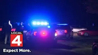 Domestic violence cases rising in Metro Detroit