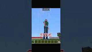 I am STEVE!