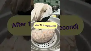 கருப்பு கொண்டைக்கடலை(Sprouting thread spreads to connect In) இணையும், பிணையும் முளைப்பயிறு!!💯