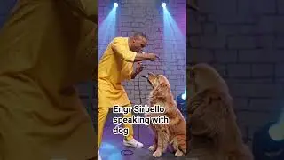 dog speaking with me