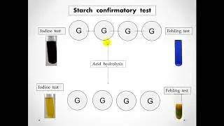 practical  carbohydrate/ #biochemistry  #عملى البايو كامل   # عملى بايو اولى بشرى