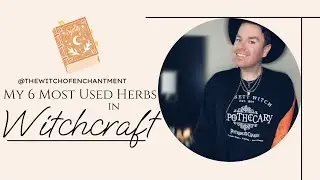 My 6 Most Used Herbs in Witchcraft ✨