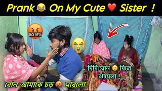 Prank 😂 on my cute Sister 😍 || বোন আমাকে চড় 🤬 মারলো || দিদি বোন 😭 মিলে ঝামেলা || prank diarys |