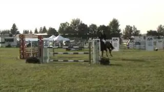 Palladium cup finale 2010