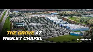 The Grove at Wesley Chapel - Wesley Chapel, FL