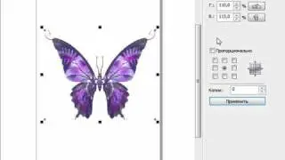 CorelDRAW X5 для начинающих. Изменение размеров (8.3)