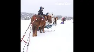 La Féclaz : Ski Joering