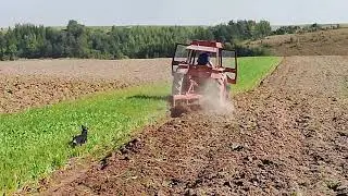 Orka poplonu LTZ 55a 3 skiby v3