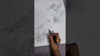 let set free the birds #artgallery #pencildrawing #birds #birda