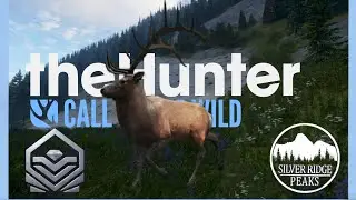 Took a Few Risky Shots on a Rocky Mountain Elk on Silver Ridge Peaks!!