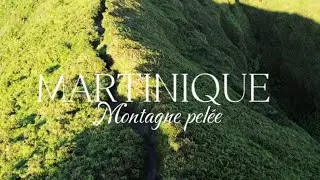 Découverte d'une merveille de la Martinique, le mont pelée et sauvetage d'un pélican. S1/EP3