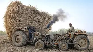 MF 385 vs Alghazi 65 HP 🔥 | Tractor Power Test Under Heavy Load@NaeenTractors786 