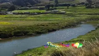 tradicional pinquillada huaycheña de Puerto Acosta