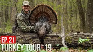 MISSOURI PUBLIC LAND TURKEY! - Windy Day Gobblers