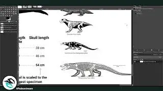 #Paleostream / Maevarano / 03.05.2025
