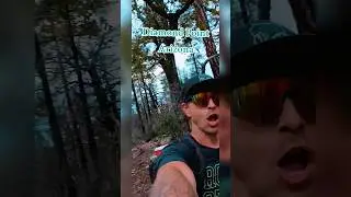 💎Diamond's In The Rough💎 #crystals #rock #hound #mining #prospecting #adventure #motivation #fun #me