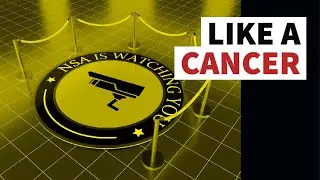 Like a Cancer: Warrantless Surveillance Under Section 702