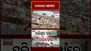 Plastic Ban In Odisha Failing? Polythene Floods Streets Despite 2018 Law | Kanak News Shorts