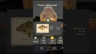 ТРОФЕЙНЫЕ КАРПЫ НА ЯНТАРКЕ | ПРИЯТНЫЕ ЗВУКИ #rf4 #рр4 #русскаярыбалка4 #russianfishing4