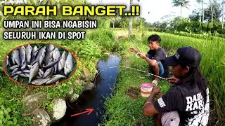 Review Umpan Terbaru Tanago Micro Fishing Lunga Mancing || Umpan Jitu Ikan Uceng,Wader,nilem
