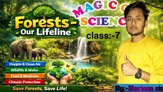 Forests &ndash; Our Lifeline 🌳 | Why Forests Are Important for Life on Earth | Class:-7