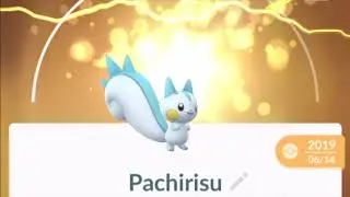 Pokemon GO Pachirisu Pokedex 360 Degree View