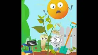 🍄 MikoMax: kert&eacute;szkedj #mikorrhiza gomb&aacute;val!  #vegyszermentes #kert