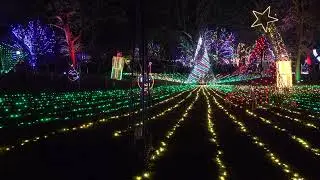 Lincoln Park Zoo Lights Chicago 10-28-2024