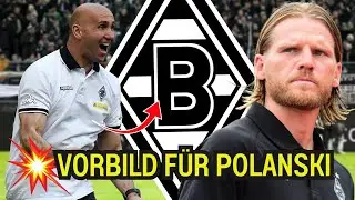 💥D&eacute;j&agrave;-vu bei Borussia: Polanski tritt in Schuberts Fu&szlig;stapfen! Neuigkeiten von BORUSSIA M'GLADBACH