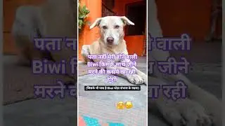 पता नहीं मेरी #funny #comedy #shortsfeed #shorts #trending #viralvideo #doglover #dogtalk #dog