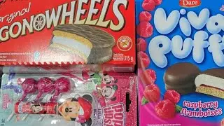 🍫Trying Canadian Classics: Wagon Wheels & Viva Puffs | Ahla Snack Review